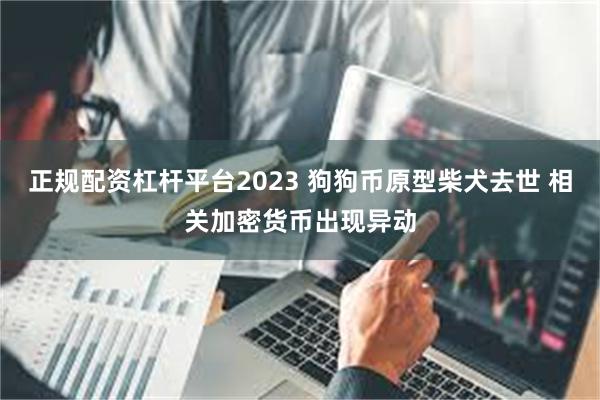 正规配资杠杆平台2023 狗狗币原型柴犬去世 相关加密货币出现异动