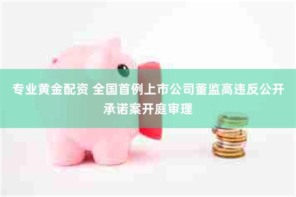 专业黄金配资 全国首例上市公司董监高违反公开承诺案开庭审理