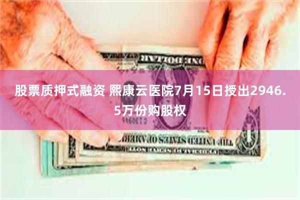 股票质押式融资 熙康云医院7月15日授出2946.5万份购股权