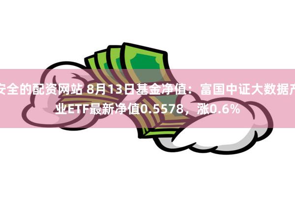 安全的配资网站 8月13日基金净值：富国中证大数据产业ETF最新净值0.5578，涨0.6%