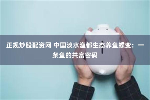 正规炒股配资网 中国淡水渔都生态养鱼蝶变：一条鱼的共富密码