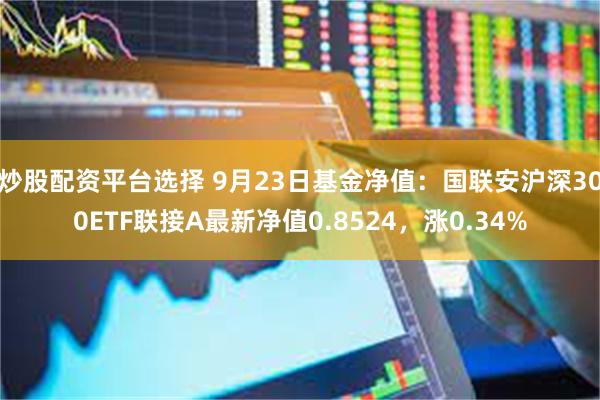 炒股配资平台选择 9月23日基金净值：国联安沪深300ETF联接A最新净值0.8524，涨0.34%