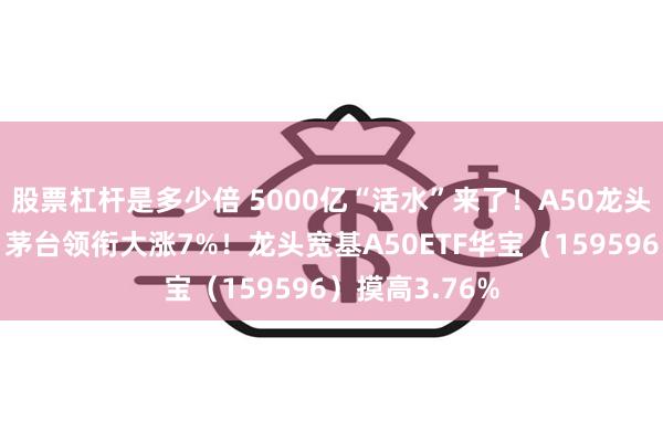 股票杠杆是多少倍 5000亿“活水”来了！A50龙头午后再飙高，茅台领衔大涨7%！龙头宽基A50ETF华宝（159596）摸高3.76%