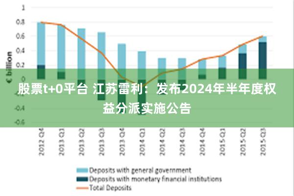 股票t+0平台 江苏雷利：发布2024年半年度权益分派实施公告