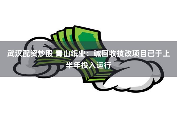 武汉配资炒股 青山纸业：碱回收技改项目已于上半年投入运行