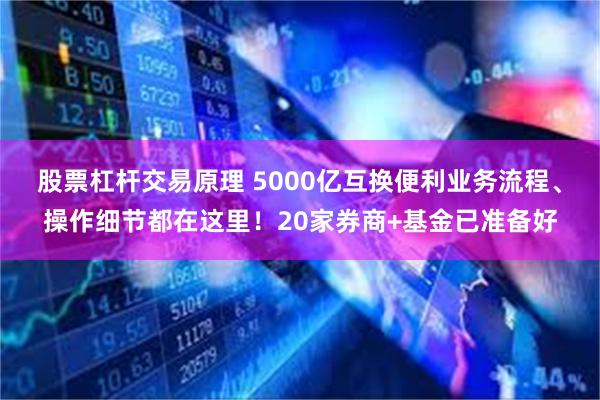 股票杠杆交易原理 5000亿互换便利业务流程、操作细节都在这里！20家券商+基金已准备好