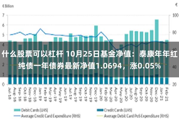 什么股票可以杠杆 10月25日基金净值：泰康年年红纯债一年债券最新净值1.0694，涨0.05%