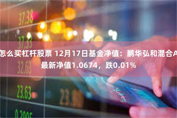 怎么买杠杆股票 12月17日基金净值：鹏华弘和混合A最新净值1.0674，跌0.01%