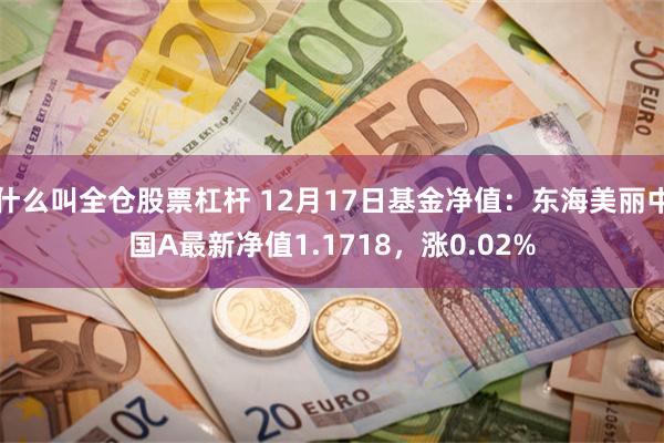 什么叫全仓股票杠杆 12月17日基金净值：东海美丽中国A最新净值1.1718，涨0.02%