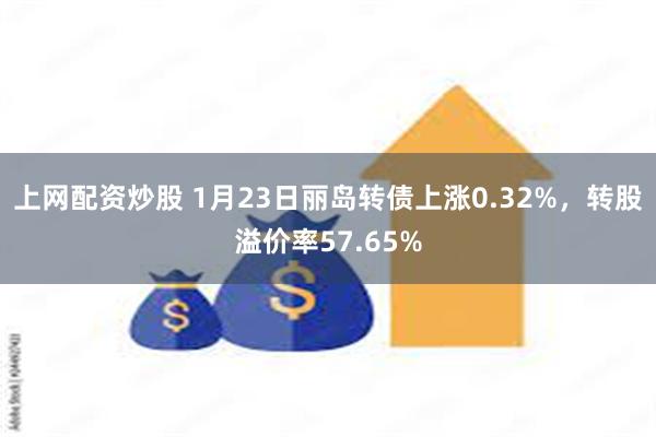 上网配资炒股 1月23日丽岛转债上涨0.32%，转股溢价率57.65%