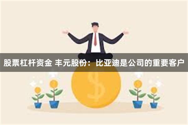 股票杠杆资金 丰元股份：比亚迪是公司的重要客户